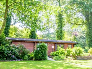 Holiday park Cosily chalet with gas fireplace in Twente - Ootmarsum - image1