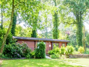 Parc de vacances Chalet confortable avec foyer au gaz à Twente - Ootmarsum - image1