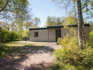 Ferienpark Angepasster Bungalow in Appelscha mit Terrasse - Appelscha - image1