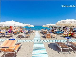 Casa per le vacanze Carovigno Ambiente 36