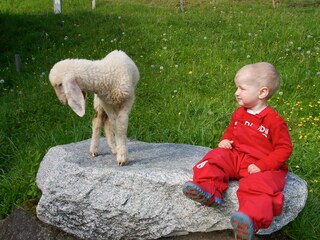 Casa per le vacanze Zell am See Ambiente 18