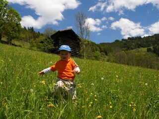 Casa per le vacanze Zell am See Ambiente 20
