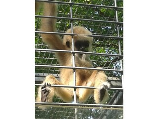 Ferienhaus Herzberg (Elster) Umgebung 25