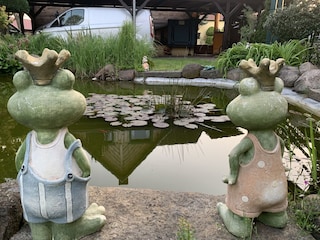Im Garten ein kleiner Teich