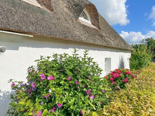 Maison de vacances Lehe Enregistrement extérieur 3
