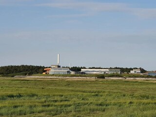 Appartement St. Peter-Ording Environnement 32