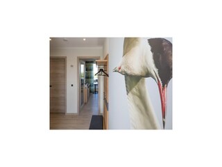 Appartamento Hallig Nordstrandischmoor Caratteristiche 12