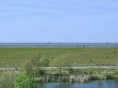 Appartement Hallig Nordstrandischmoor Buitenaudio-opname 1