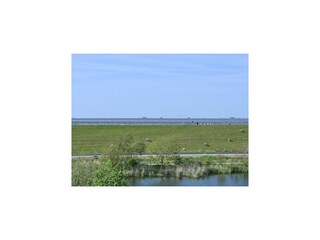 Apartamento Hallig Nordstrandischmoor Grabación al aire libre 5