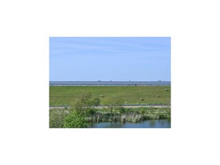 Appartement Hallig Nordstrandischmoor Enregistrement extérieur 5