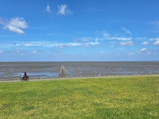 Apartment Hallig Nordstrandischmoor Umgebung 22