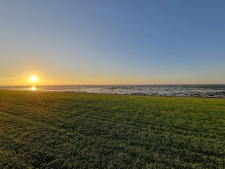 Apartment Hallig Nordstrandischmoor Umgebung 29