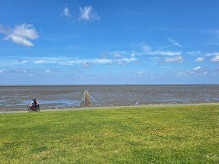 Appartement Hallig Nordstrandischmoor Environnement 16