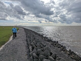Appartement Hallig Nordstrandischmoor Environnement 32