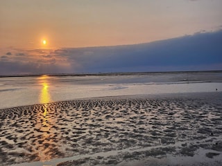 Apartment Hallig Nordstrandischmoor Umgebung 20