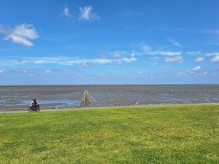 Apartment Hallig Nordstrandischmoor Umgebung 28