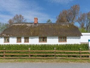 Holiday house Historic thatched cottage in a quiet location - Tating - image1