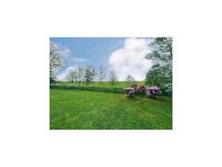 Vakantiehuis Tating Buitenaudio-opname 6