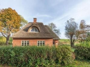 Casa per le vacanze cottage dal tetto di paglia con stufa in maiolica - Osterhever - image1