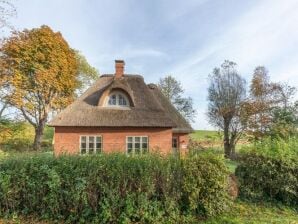 Holiday house reetgedecktes Ferienhaus mit Kachelofen - Osterhever - image1