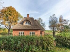 Holiday house huisje met rieten dak en tegelkachel
