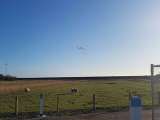 Casa per le vacanze Dagebüll Ambiente 21