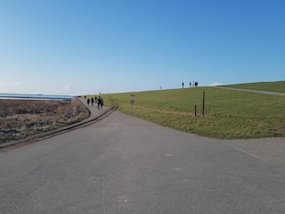 Ferienhaus Dagebüll Umgebung 22