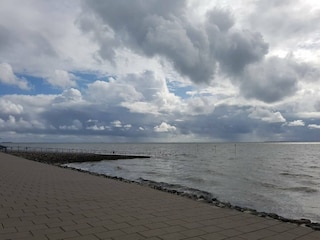 Vakantiehuis Dagebüll Omgeving 22