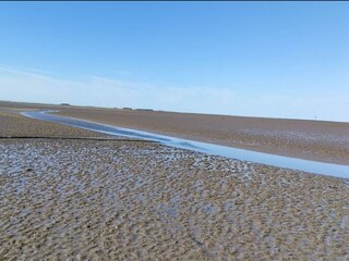 Casa per le vacanze Dagebüll Ambiente 29