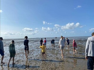 Maison de vacances Dagebüll Environnement 24