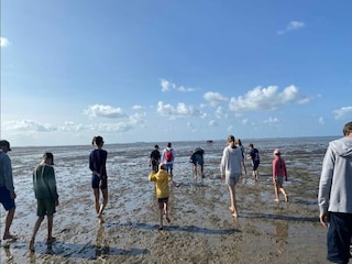 Maison de vacances Dagebüll Environnement 29