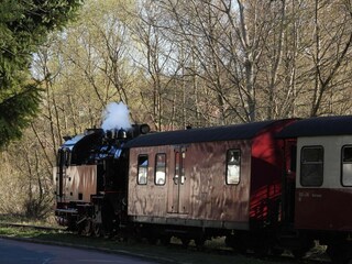 Vakantiehuis Hasselfelde  16