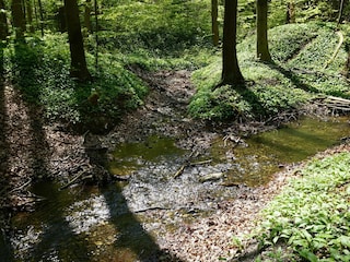 Maison de vacances Hasselfelde  23