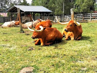 Casa per le vacanze Hasselfelde Ambiente 37