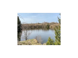 Casa per le vacanze Hasselfelde Ambiente 38