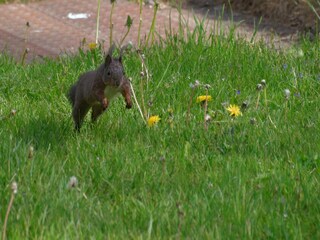 Casa per le vacanze Hasselfelde Ambiente 12