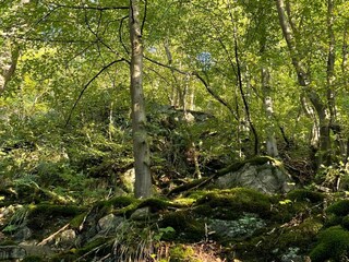 Vakantiehuis Hasselfelde Omgeving 19