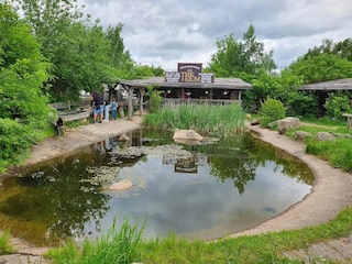 Ferienhaus Hasselfelde Umgebung 42