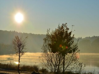 Casa per le vacanze Hasselfelde Ambiente 13