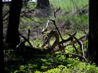 Casa per le vacanze Hasselfelde Ambiente 22
