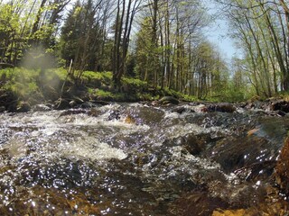Casa per le vacanze Hasselfelde Ambiente 28
