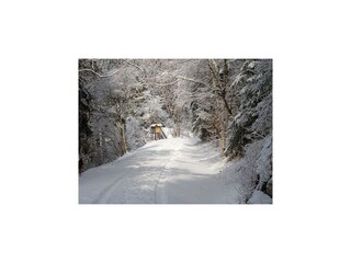 Vakantiehuis Hasselfelde Omgeving 17