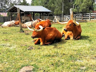 Casa per le vacanze Hasselfelde Ambiente 23