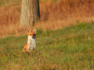 Vakantiehuis Hasselfelde Omgeving 19
