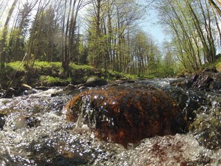 Casa per le vacanze Hasselfelde Ambiente 15