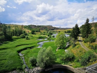 Holiday house Hasselfelde Environment 28