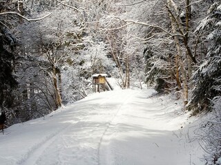 Casa per le vacanze Hasselfelde Ambiente 22