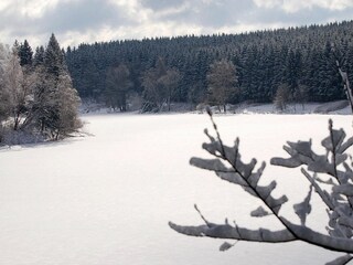 Casa per le vacanze Hasselfelde Ambiente 11