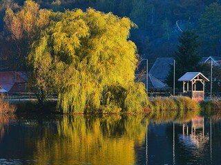 Casa per le vacanze Hasselfelde Ambiente 12