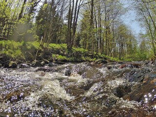 Casa per le vacanze Hasselfelde Ambiente 14
